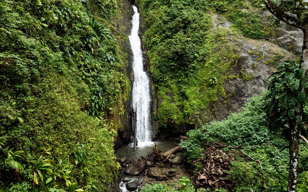 Annandale Falls in the rainforest
