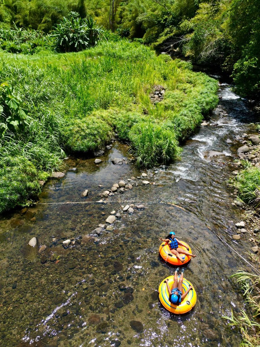 Tubes drifting down a bamboo-lined river