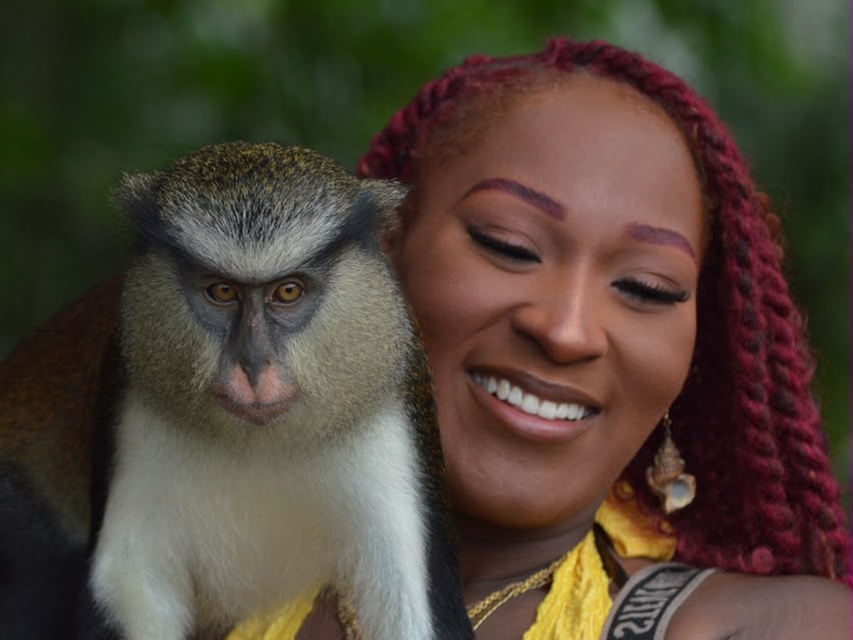 A mona monkey on a guest’s shoulder at Grand Etang