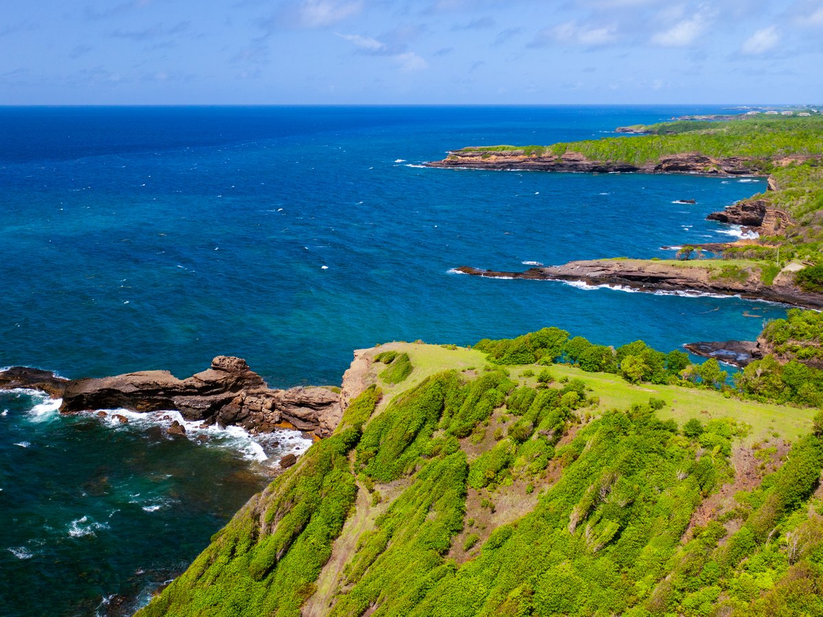Beach, waterfall and rainforest