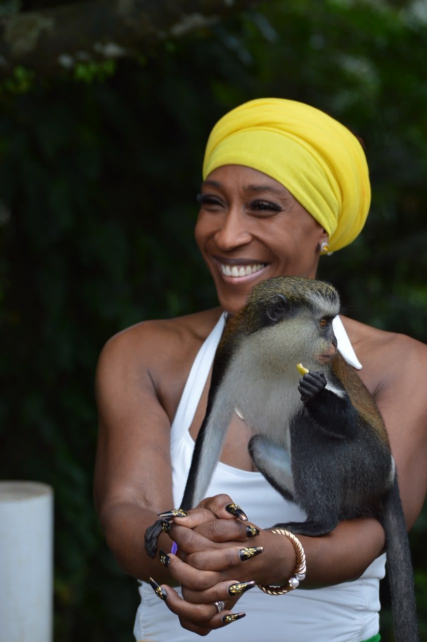 A mona monkey perched on a guest’s shoulder in the rainforest